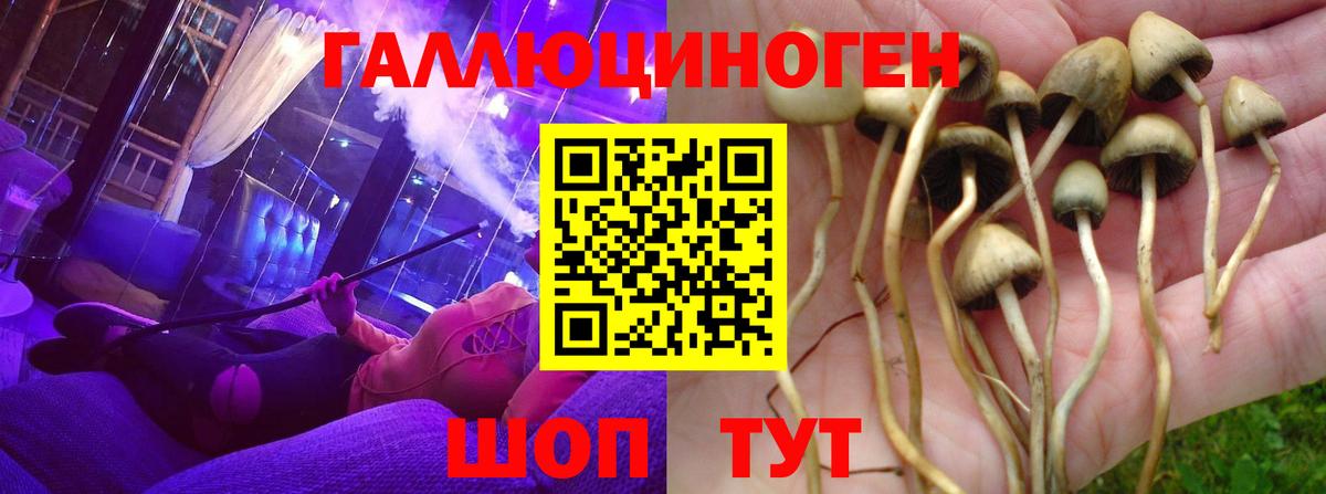 Галлюциногенные грибы Magic Shrooms Острогожск