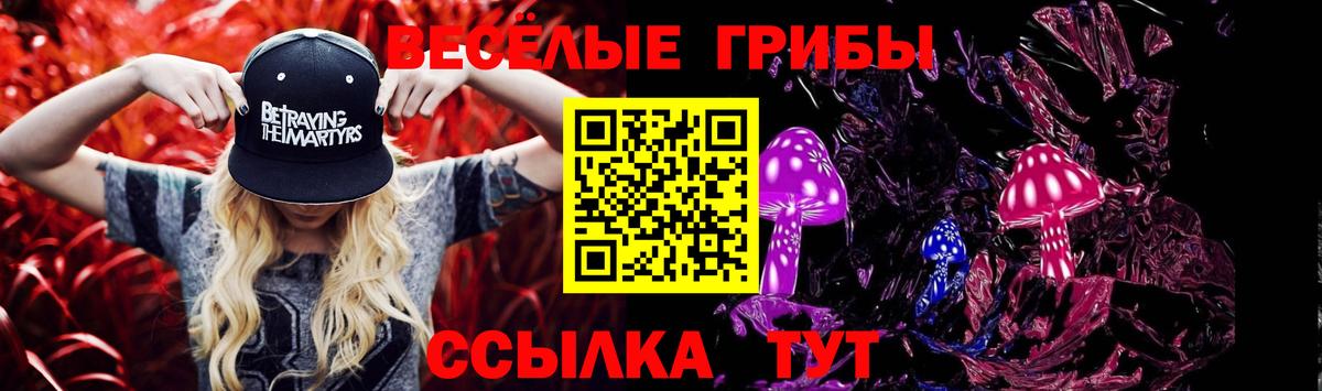 APVP Острогожск